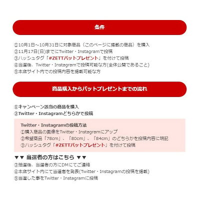 野球ユニフォームパンツズボンゼットZETTレギュラーフィットネオステイタスBU802RPウエアウェア高校野球野球部mens野球用品スワロースポーツ