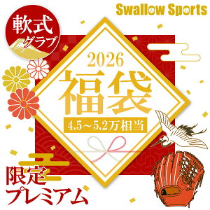 _y㕥sz4.5~5.2~I p v~AOuE~bg ̑eiXpi6_ȏ 싅pi X[X|[c 2026N܁^