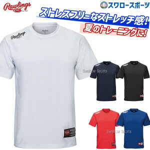 싅 [OX L EFA vC[TVc  AST10F01T rawlings K g[jO  싅pi X[X|[c