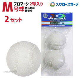 ＼25日(木)全品ポイント10倍／ 軟式野球ボール プロマーク 野球 軟式ボール M号球 練習球 2個入 2セット LB-300M ボール M級 軟式 練習用 M号 M球 一般用 中学生用 軟式球 練習ボール