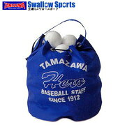 ＼4・5日:10%OFFクーポン／ 玉澤 タマザワ トスバッティング練習ボール 50球セット 打撃練習 室内 バッテ…
