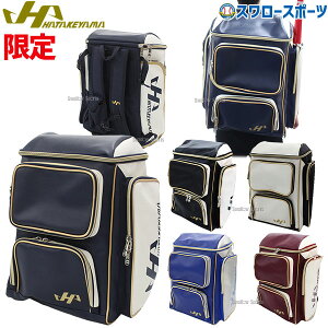 싅 n^P}  obNpbN bN lCr[ ubN zCg C GW HKR-10PK HATAKEYAMA