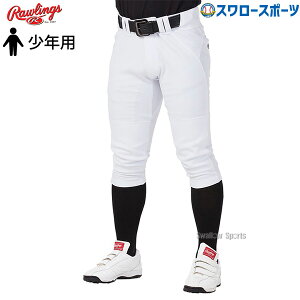 _4E5Si|Cg10{^ 싅 [OX EGA EFA WjAp jtH[pc Y{ WjA4D8+PLUS EgnCp[Xgb`pc V[gtBbg Np APP14S01J 