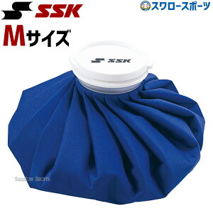 GXGXPC GXGXP[ 싅 ACVO XX SSK X̂ ACXobO ACVOobO X|[c YTR31 싅pi X[X|[c