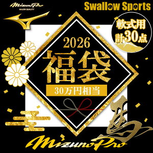 _y㕥szy~Ymv܁z 300,000~I ~Ymv p 싅 싅pi X[X|[c 2026N܁^