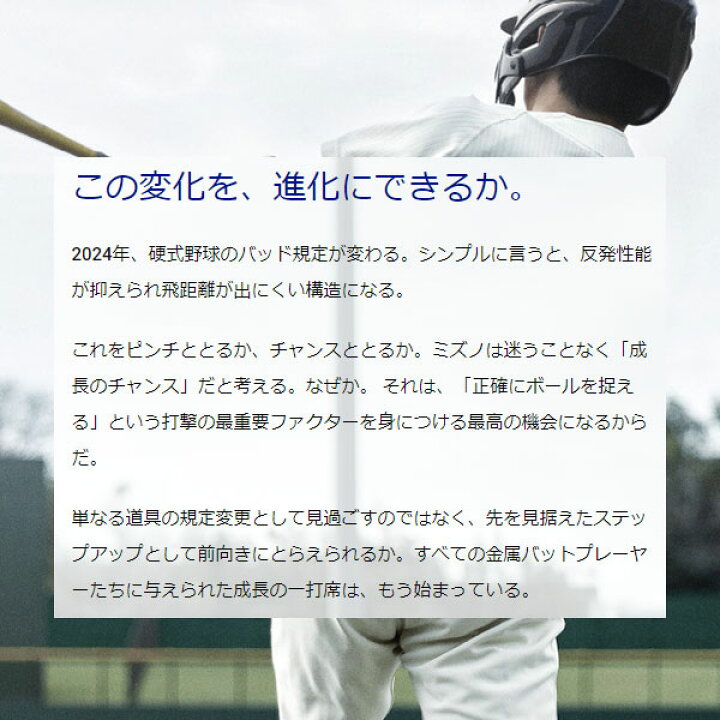 楽天市場】＼25日(土)全品ポイント5倍／ 【新基準対応】 野球 硬式 