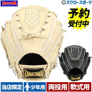 野球グローブ 両投げ タマザワの人気商品・通販・価格比較 - 価格.com