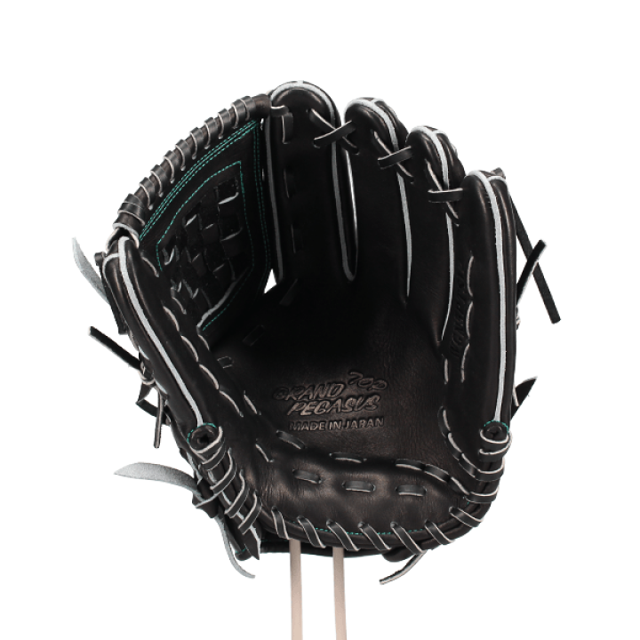 新品未使用 野球 ワールドペガサス ワーペ ワッペ 限定 硬式グローブ グラブ ワールドペガサス 野球 ワッペ ワーペ 限定 硬式グローブ 高校