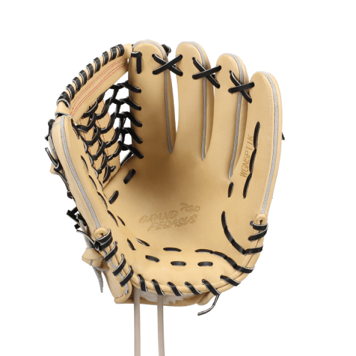 楽天市場】野球 ワールドペガサス ワッペ 硬式 軟式 グローブ グラブ