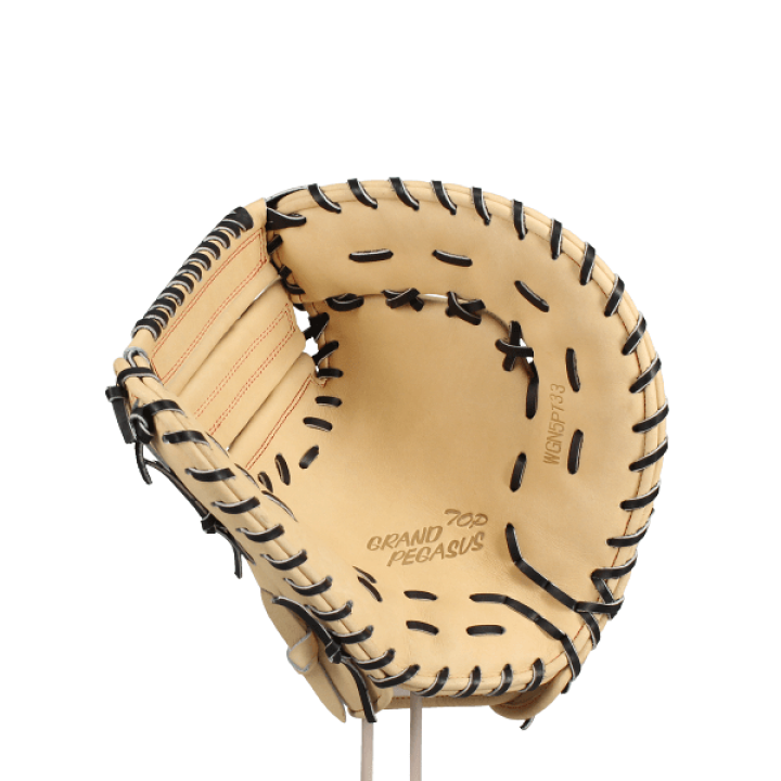 楽天市場】野球 ワールドペガサス ワッペ 硬式 軟式 ファーストミット