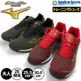 ＼19.20日連続ポイントセール／ 野球 ミズノ 野球 トレーニングシューズ アップシューズ ウエーブ ライトレボラン プロ 11GT2201 MIZUNO 野球用品 スワロースポーツ