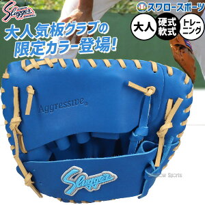 _25Si|Cg5{^ y݌^tsz싅 vۓcXbK[  O[u Ou tFXOu g[jOOu FGS LT24-GS8 싅pi X[X|[c