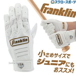 _25Si|Cg5{^ 싅 tN obeBOO[u  p CFX-FP FASTPICH 20714  WjA Np q싅 q\tg Franklin