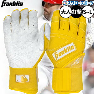 싅 tN obeBOO[u p p[Xgbv CtBjbg V[Y POWERSTRAP PR Ŏҗp  ob^[p 20443 Franklin NX}Xv[g 싅pi X[X|[