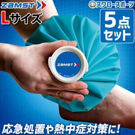 ＼20日全品ポイント倍率↑↑／ 野球 ザムスト アイシングサポーター アイスバッグ 5点セット L 氷のう 氷嚢 378103 設備・備品 野球部 ZAMST 野球用品 スワロースポーツ