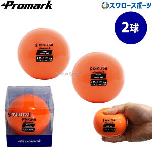 �싅 �v���}�[�N �p���[�X�C���O�{�[�� 2�� �g���[�j���O HTB-60SP Promark �싅�p�i�X�����[�X�|�[�c