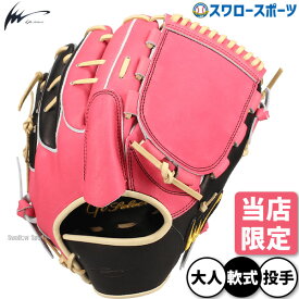 野球 アイピーセレクト 軟式グローブ グラブ 軟式用 投手用 ピッチャー用 スワロー限定 大人用 一般用 プログレスRBコレクション Ip001-Pr-SG1 IpSelect 野球用品スワロースポーツ