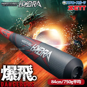 �싅 �[�b�g �����X�^�[�u���b�N�L���m�� �q�h�� �o�b�g ���� �g�b�v�o�����X �o�b�g�P�[�X�t 84cm 750g���� ��싅 ��p ��l�p ��ʗp BCT31584G ZETT �싅�p�i�X�����[�X�|�[�c