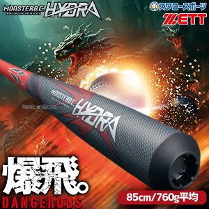 �_19���E20������N�[�|���^ �싅 �[�b�g�����X�^�[�u���b�N�L���m�� �q�h�� �o�b�g �J�[�{�� 85cm 760g���� ��싅 ��p ��l�p ��ʗp BCT31585G ZETT �싅�p�i�X�����[�X�|�[�c