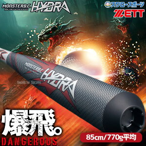 �_19���E20������N�[�|���^ �싅 �[�b�g�����X�^�[�u���b�N�L���m�� �q�h�� �o�b�g �J�[�{�� 85cm 770g���� ��싅 ��p ��l�p ��ʗp BCT31595 ZETT �싅�p�i�X�����[�X�|�[�c