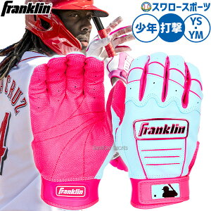 �_14���E15��:5%OFF�N�[�|���^ �싅 �t�����N���� CFX-PRO HI-LITE �o�b�e�B���O�O���[�u �f���N���[�Y���f�� �s���N �o�b�e�B���O��� �Ŏҗp �Ō��p ����p ���N�p �W���j�A�p �q���p 20627 Franklin 
