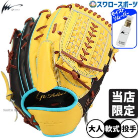 野球 アイピーセレクト 軟式グローブ 汚れ落とし付き グラブ 軟式用 投手用 ピッチャー用 スワロー限定 大人用 一般用 プログレスRBコレクション Ip001-Pr-SG3 IpSelect 野球用品スワロースポーツ
