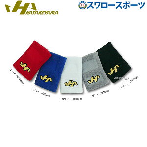 싅 n^P} HATAKEYAMA XgohiЎj RSTB 싅 싅pi X[X|[c