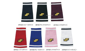 _10Si|Cg10{^ SSK GXGXPC Xgoh Ў ANZT[ 싅 싅 l   e[p[^ YA33 싅pi X[X|[c