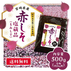 yԌz݂500O  ݂350g t150gԂ i ~2LOp{茧Y IB썂~ ~|߂ڂ  ӂ肩  W[X 퉷ۑyЂȂHiz