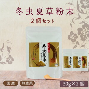 【国産 冬虫夏草】 コルジセピン規格値3000ppm以上無農薬の国産100%冬虫夏草30グラム×2個セット ギフト 母の日 敬老の日 お中元 お歳暮【ひなた食品】