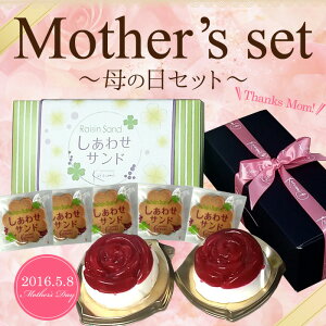 菓子工房こいづみ母の日セット