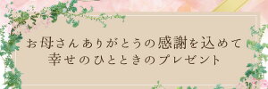 菓子工房こいづみ母の日セット