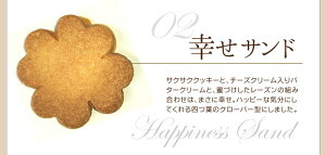 菓子工房こいづみ母の日セット