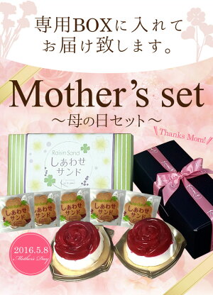菓子工房こいづみ母の日セット