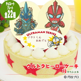 【当日出荷】ウルトラヒーローケーキ　苺（いちご）スペシャル〜濃厚生クリームと二種のイチゴの贅沢ケーキ〜【誕生日ケーキ】【選べるヒーローチョコプレート】【お誕生日プレート＆ローソク＆名前入れ用転写シートつき【ウルトラマン・キャラクター】