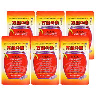 【ポイント5倍UP！スーパーSALE限定！】ハンおばさんの万能の素 100g×6袋 万能調味料｜トッポギ・チーズ…