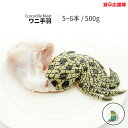 ワニ肉 ワニ手羽 5～6本 合計500g クロコダイルミート オーストラリア産