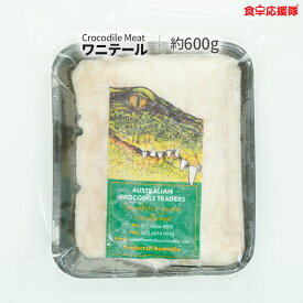 ワニ肉 テール 約600g(1～2パック) クロコダイルミート ワニテール オーストラリア産