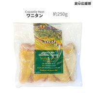 ワニ肉 タン 約250g クロコダイルミート ワニタン オーストラリア産