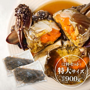 【内子宣言!ゼロなら100%再発送】函館産 極上カンジャンケジャン 中〜特大選べる3サイズ!メス限定 内子たっぷり ギフト お礼の品 プレゼント 厳選のワタリガニ 醤油ケジャン 鮮魚店