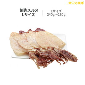 楽天市場 剣先イカの通販