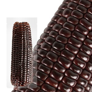 y}\|CgUPIzƂ낱 3F ``H RȊÂƒe ^pbN ۑ ۑH H ʂN₩