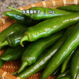 楽天市場 青唐辛子の通販