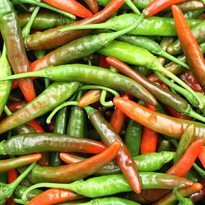 hI؍ hq 500g hq RY hq 󂠂eFÌAւAԐFATCYAȂǁvhq̑Nx╗ɂ͉e܂I