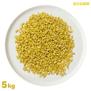 ̎ 5kg / Ɩp NHi X[p[t[h _CGbgT|[g p IK3b_ r^~E NXibN h{̍ibc H쉞