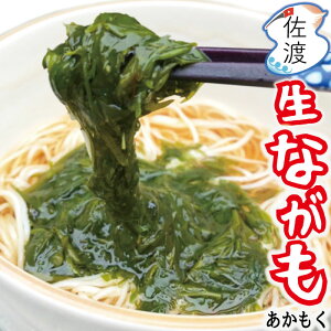nY Ȃ ijԊ 200g nYi V  AJN }nt[d ܂ C ̂܂ X` ͂ Ԃ  |̕  ǂ yN[ⓀւŔ