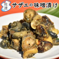 【再入荷】佐渡産 サザエ味噌漬け 1パック(90～100g入) 美味魚 今井イサ子 イサコ 姫津漁港 新潟県 おつ…