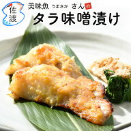タラ 味噌漬け 280g(3～4切入) 佐渡産 美味魚 今井イサ子さんの手作り 姫津漁港 イサコ 真鱈 たら 味噌漬…