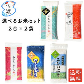 令和5年産 選べる佐渡のお米セット(2合×2品種) 真空包装 佐渡産お試し 味見 味比べ 食べきりコシヒカリ 新之助 こしいぶき つきあかり あきたこまち【送料無料】【ネコポス・クロネコゆうパケット便で発送(※代引不可)】