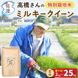 令和7年 佐渡産 ミルキークイーン 特別栽培米 高橋農園　玄米 2kg 5kg 10kg 15kg 20kg 25kg 農薬・化学肥料5割減減 ギフト 贈答 送料無料（沖縄県を除く）